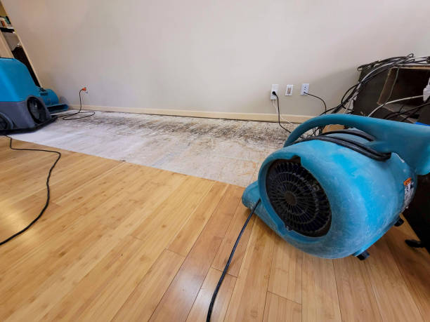 Professional Structural Drying technician working in Hebron, IN